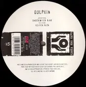 Dolphin - Under Water