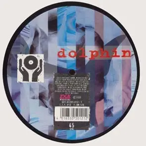 Dolphin - Under Water