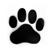 Dope Dog - Keep House Unda'ground 2015 Remixes