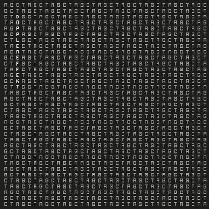 Dopplereffekt - Tetrahymena