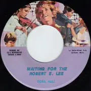 7inch Vinyl Single - Dora Hall - Great Big Friendly Town Chicago