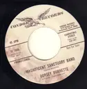 7inch Vinyl Single - Dorsey Burnette - The Magnificent Sanctuary Band / Can't You See It Happening - Promo