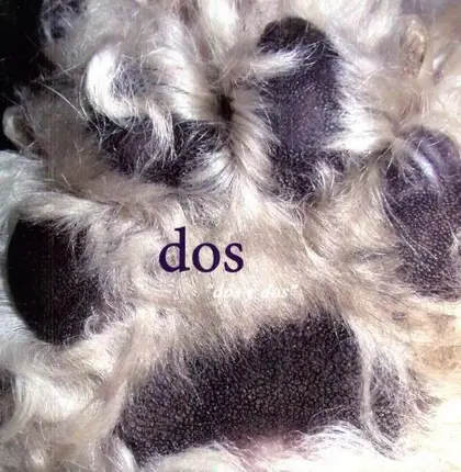 Dos - Dos y Dos