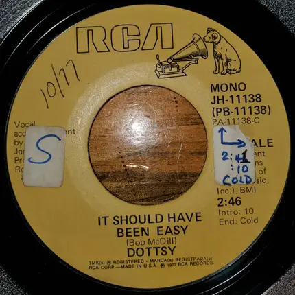 Dottsy - It Should Have Been Easy