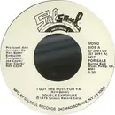 7inch Vinyl Single - Double Exposure - I Got The Hots For Ya