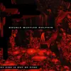 CD - Double Muffled Dolphin - My Left Side Is Out Of Sync