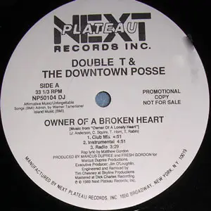 Double T & The Downtown Posse - Owner Of A Broken Heart