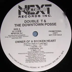 Double T & The Downtown Posse - Owner Of A Broken Heart