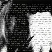 CD - Doughnuts - Equalize Nature - EP