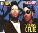 CD Single - Down Low - Vision of Life