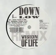 Down Low - Vision of Life