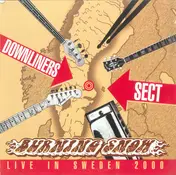 The Downliners Sect - Burning Snow