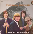 LP - Downliners Sect - The Rock Sect's In