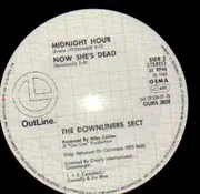 12'' - Downliners Sect - The Sect Sing Sick Songs