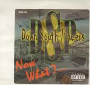 The Down South Players - Now What?...