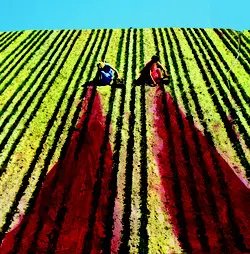 Downstairs - Oh Father