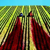 DOWNSTAIRS - Oh Father