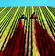 CD - Downstairs - Oh Father - Digipak