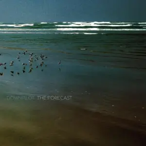 Downpilot - Forecast