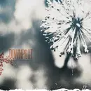 CD - Downpilot - Like You Believe It