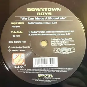 Downtown Boys - We Can Move A Mountain