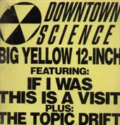 Downtown Science - If I Was / This Is A Visit / The Topic Drift