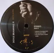 Double LP & MP3 - Doyle Bramhall II - Rich Man