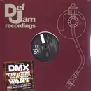 12'' - DMX - Give 'Em What They Want / Pump Ya Fist