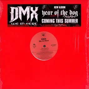 DMX - We In Here