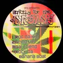 12inch Vinyl Single - DNS presents - Strictly For The Dreads Number 13
