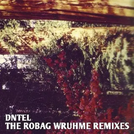 Dntel - The Robag Wruhme Remixes