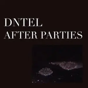 Dntel - After Parties 2