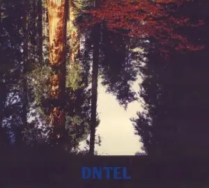 Dntel - Aimlessness