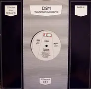 Dsm - Warrior Groove