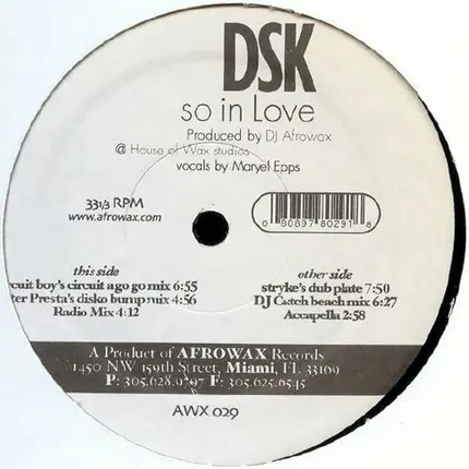 Dsk - So in Love