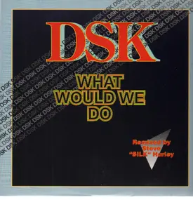 DSK - What Would We Do