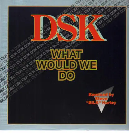 Dsk - What Would We Do