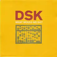 Dsk - What Would We Do?