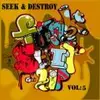 LP - D-Styles - Seek & Destroy #5