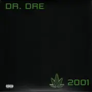 Double LP - Dr. Dre - 2001