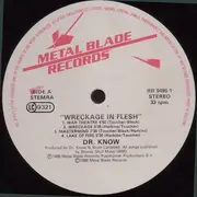 LP - Dr. Know - Wreckage In Flesh