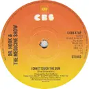 7inch Vinyl Single - Dr. Hook & The Medicine Show - I Can't Touch The Sun