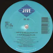 12'' - Dr. Ice - Word To The Wise