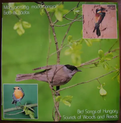 Dr. Ország Mihály - Magyarország Madárhangjai - Erdő És Nádas / Bird Songs Of Hungary - Sounds Of Wood And Reeds