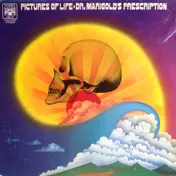 Dr. Marigold's Prescription - Pictures Of Life