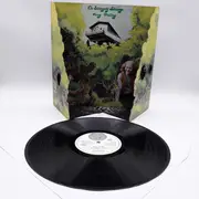 LP - Dr. Strangely Strange - Heavy Petting - 1st UK press on Vertigo Swirl Label & Gimmix Cover