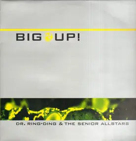 Dr. Ring-Ding & the Senior Allstars - Big Up!