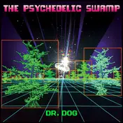 Dr. Dog - Psychedelic Swamp
