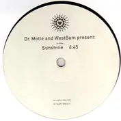 Dr. Motte and Westbam