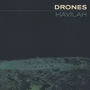 The Drones - Havilah
